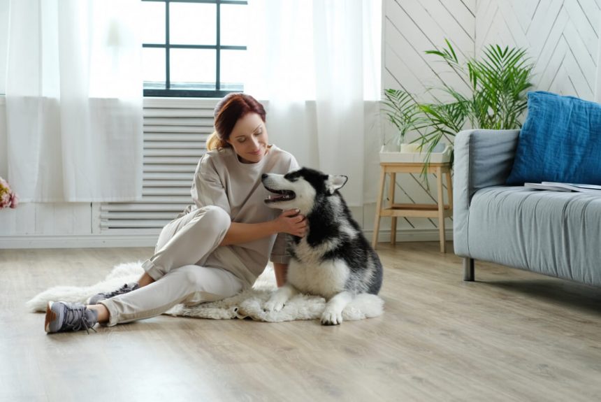 Kobieta z psem husky na podłodze w mieszkaniu. Jak urządzić mieszkanie przyjazne dla zwierząt